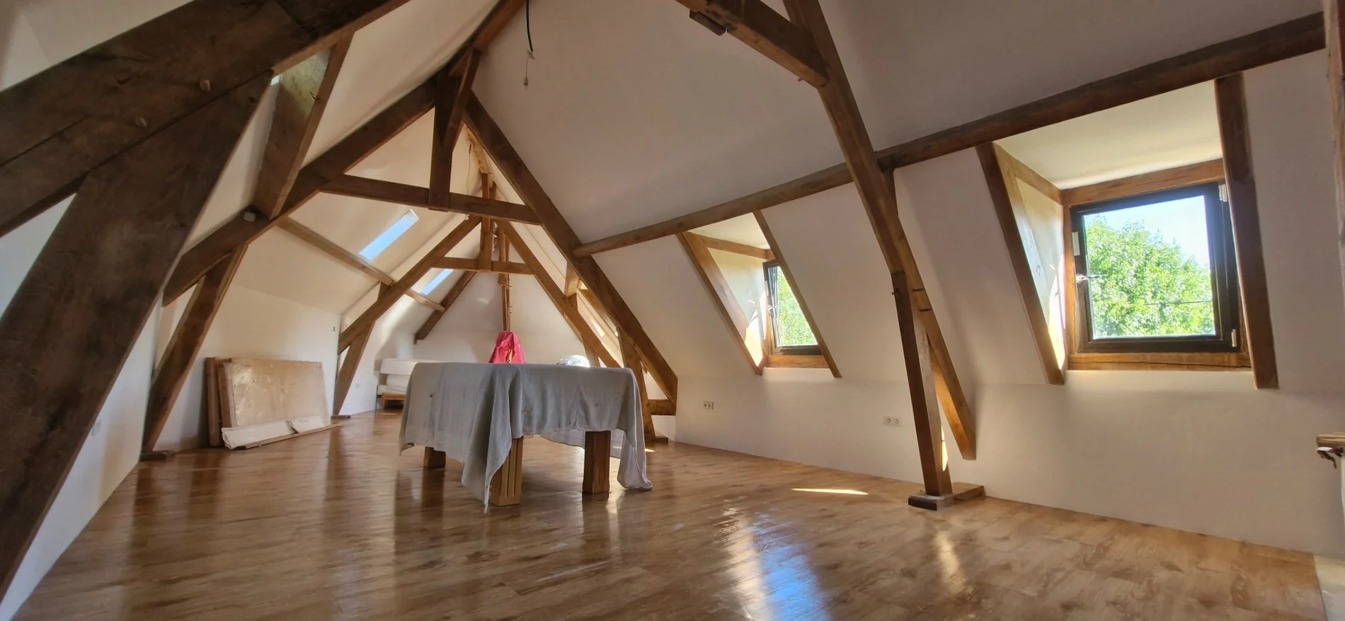 Extension Ceiling Restoration completed project
